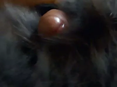 Misty Stone و Xander Corvus در دفتر  شیطان
